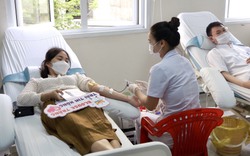 Hơn 200 y, bác sỹ hiến máu và tiểu cầu tặng bệnh nhân nhân Ngày Thầy thuốc Việt Nam