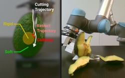 Nhìn con robot được AI hỗ trợ bổ trái cây như thế này, tôi mới nhận ra đôi tay con người mới kỳ diệu làm sao