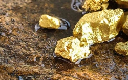 Tỉnh có mỏ vàng lớn nhất Việt Nam