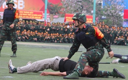 Xem lực lượng vũ trang Nghệ An biểu diễn võ thuật, trấn áp tội phạm