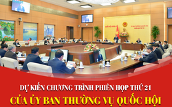 Ủy ban Thường vụ Quốc hội họp xem xét phê chuẩn bổ nhiệm, miễn nhiệm nhân sự