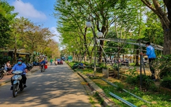 Mạnh tay xử lý hàng quán lấn chiếm trái phép, trả lại không gian cho công viên Trịnh Công Sơn