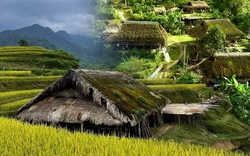 Cứ ngỡ trong truyện cổ tích nhưng những mái nhà phủ rêu ngoài đời thật lại ở ngay vùng đất gây thương nhớ của Việt Nam