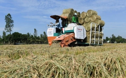 AFP đánh giá cao nỗ lực chống biến đổi khí hậu trong nông nghiệp của Việt Nam
