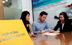 Những công việc ở Việt Nam có mức lương hơn 500 triệu đồng/tháng