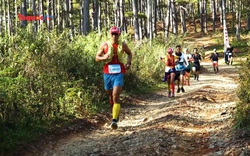 287 vận động viên nước ngoài tham gia giải chạy DaLat Ultra Trail 2023