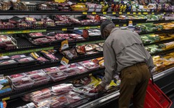 Mỹ ra quy định mới về xuất xứ các loại thịt lợn, gia cầm, trứng