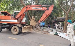Loạt công trình xây trái phép ở bán đảo Sơn Trà bị tháo dỡ