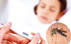 Nghiên cứu mới giúp phát hiện sớm ca bệnh sốt xuất huyết có nguy cơ tử vong