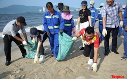 Đà Nẵng kêu gọi chung tay bảo vệ môi trường biển 