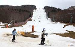 Du lịch trượt tuyết Italy thiệt hại nghiêm trọng vì không đủ tuyết