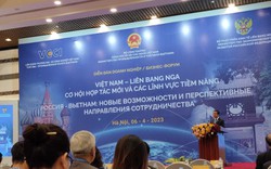 Diễn đàn Doanh nghiệp Việt Nam-Liên bang Nga thu hút hơn 200 doanh nghiệp tham gia
