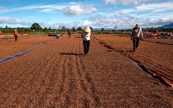 Việt Nam sắp trở thành 