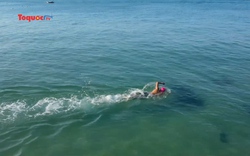 Giải bơi vượt biển đầu tiên ở Việt Nam tổ chức tại đảo Lý Sơn