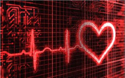 ‏Người có nhịp tim 60 và người có nhịp tim 80, ai sẽ sống lâu hơn?: Quan trọng là biết 2 “chiêu” để có một trái tim khỏe mạnh‏