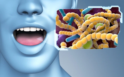 Nên đánh răng trước hay sau khi ăn sáng? Sai lầm 80% người mắc phải khiến khoang miệng trở thành “ổ vi khuẩn”