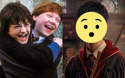 Dàn nhân vật Harry Potter bản Việt 