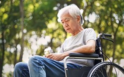 Nam giới sau khi về hưu có 4 dấu hiệu này chứng tỏ tuổi thọ đang bị “bào mòn”: Số 1 hầu như không đàn ông nào tránh được