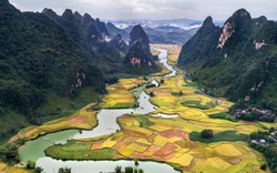 Tổ chức quốc tế 'duy trì quan điểm tích cực về thị trường' Việt Nam