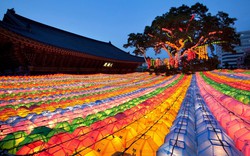 Ngôi chùa Jogyesa là điểm đến yên bình và tĩnh lặng giữa Seoul nhộn nhịp