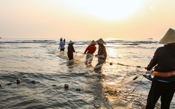 Xem ngư dân kéo cả nghìn mét lưới bắt hải sản trên biển