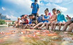 Người dân thủ đô thích thú với đàn cá Koi đủ màu sắc trên Đầm Đông