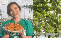 “Cắt” 1 tiếng/ngày làm nông dân, nữ kế toán biến sân thượng 50m2 thành khu vườn ngập tràn rau quả