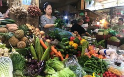 Mặt hàng quen thuộc ở chợ giúp Việt Nam có 2,7 tỷ USD trong 6 tháng 2023