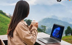HP 245 G9 - “Văn phòng mở