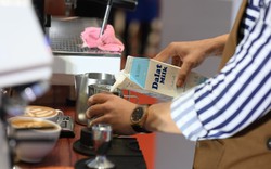 Hành trình thể hiện bản sắc cá nhân trong ly cà phê của các nghệ nhân pha chế tại Dalatmilk Barista Championship 2023