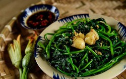 Loại rau dân dã của người Việt được mệnh danh 