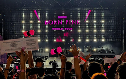 Bác sĩ chỉ fan BLACKPINK cách chăm sóc khàn tiếng sau 2 đêm concert 