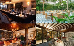 Côn Sơn Restaurant - không gian ẩm thực sang trọng được sao Việt yêu thích