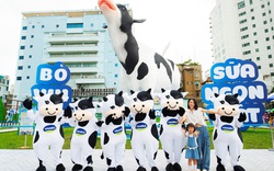 Hàng ngàn gia đình hào hứng khám phá “Resort” Bò sữa