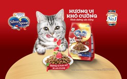 Hội yêu mèo “phát sốt” với thức ăn cho mèo Silver Spoon Nhật Bản