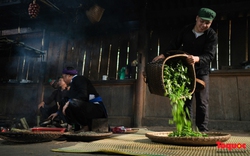Gia đình người Tày giữ hương vị chè lam ở Bản Liền, Bắc Hà