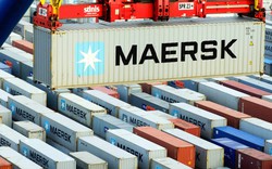 Đan Mạch muốn đầu tư trung tâm logistics quy mô lớn ở Bình Dương
