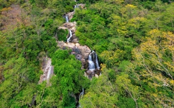 Bộ TNMT đang tham vấn chuyển đổi 12ha rừng tự nhiên tại Vườn quốc gia Núi Chúa làm Khu nghỉ dưỡng cao cấp