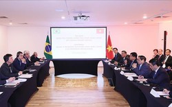 Việt Nam tạo mọi điều kiện thuận lợi để doanh nghiệp Brazil đầu tư thành công, bền vững