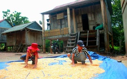Nhiều mô hình sản xuất, chăn nuôi giúp người dân miền núi Quảng Trị nâng cao thu nhập