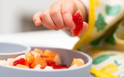 Thức quả tươi ngon vào mùa thu, ba mẹ nên cho trẻ ăn thường xuyên giúp tăng cường sức đề kháng