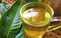 Lá một loại quả ngọt pha nước là “thuốc” bổ dạ dày, kiểm soát đường huyết tốt: Sẵn ở chợ Việt nhưng ít ai tận dụng