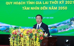 Phó Thủ tướng: Gia Lai cần lựa chọn xây dựng một số sản phẩm du lịch độc đáo, riêng có, hấp dẫn 