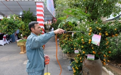 Hà Nội lần đầu tổ chức Lễ hội hoa đào, quất cảnh và sản phẩm OCOP các vùng miền Xuân Giáp Thìn 2024
