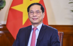 Ngoại giao Việt Nam 2023: Điểm sáng nổi bật trong thành tựu của đất nước
