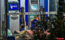 Hà Nội: Tiểu thương bán đào, quất trốn trong cây ATM tránh giá rét kỷ lục