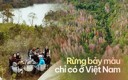 Rừng cây ngũ sắc hot nhất đầu năm nay, nằm ngay vùng chiến trường xưa lừng lẫy của Việt Nam