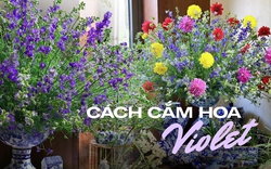 Mẹo cắm hoa Violet và lựa bình phù hợp để có ngay không gian phòng khách chuẩn vị Tết xưa, sáng bừng sức sống, tươi lâu cả tuần
