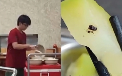 Phó Thủ tướng yêu cầu xử lý nghiêm các sai phạm liên quan đến chất lượng bữa ăn tại Đại học Bách Khoa Hà Nội