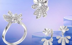 BST My First Diamond: Câu chuyện về hành trình tỏa sáng của phái đẹp